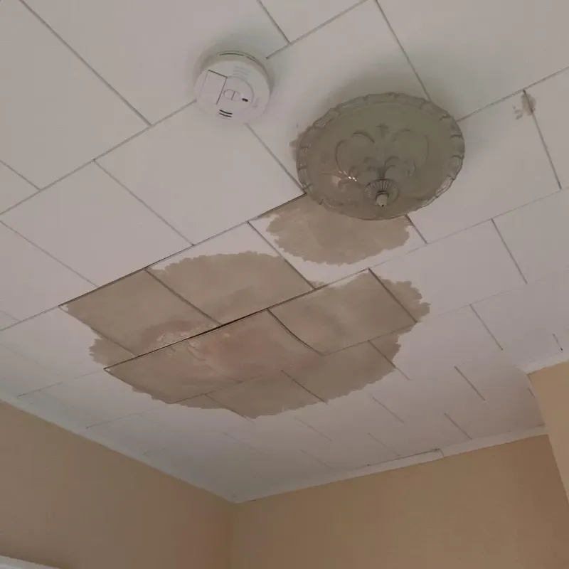 Ceiling Water Damage Repair in Lake Telemark, NJ