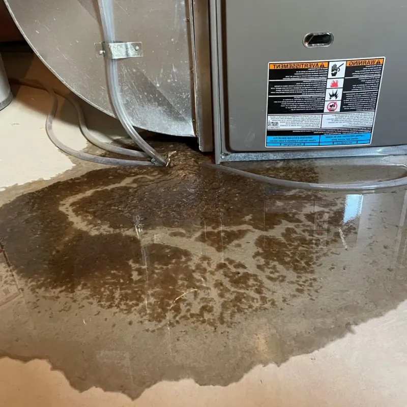 Pipe Burst and Leak Restoration in Lake Telemark, NJ