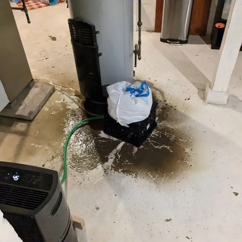 Sewage Backup Cleanup Service in Lake Telemark, NJ
